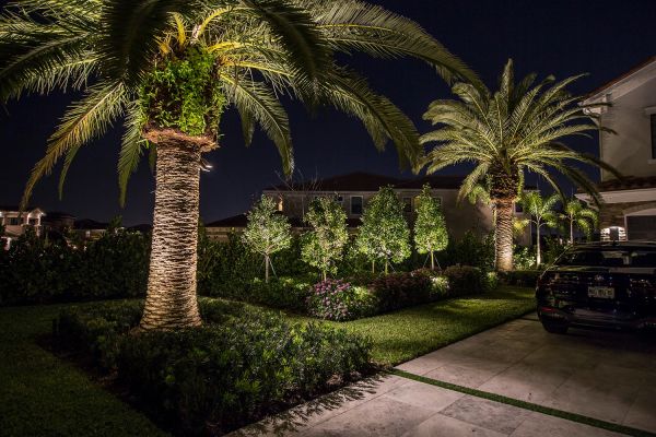 Outdoor Driveway with greenery and palm trees lighted at night
