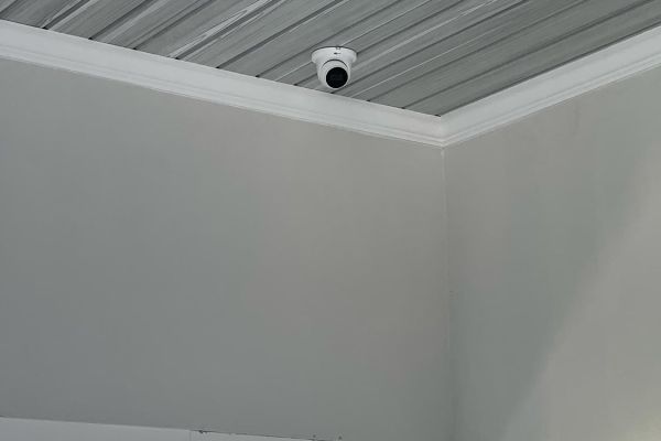 Surveillance camera