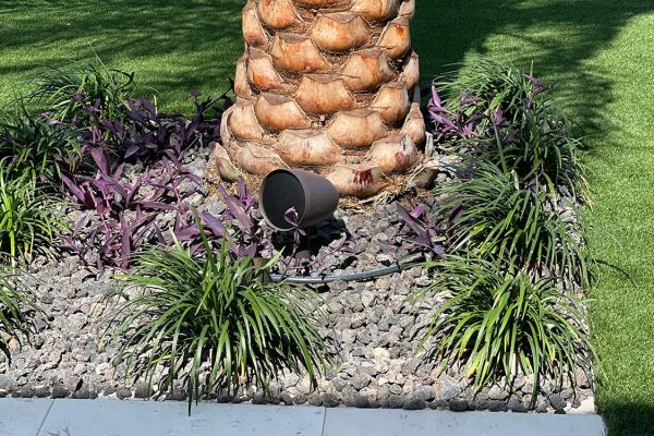 outdoor speaker beside a palm tree