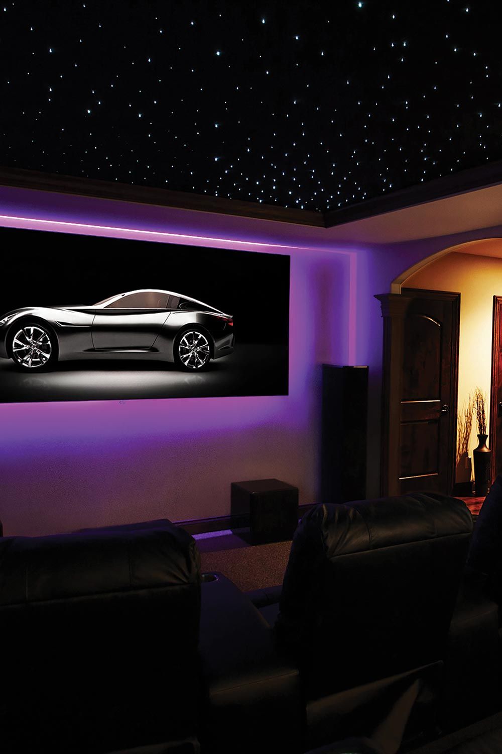 Screen Innovations Home Theater